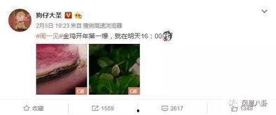 5吃瓜群众最新爆料视频,揭秘事件背后惊人真相！