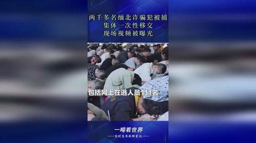 缅北诈骗犯爆料视频最新,最新爆料视频曝光惊人真相