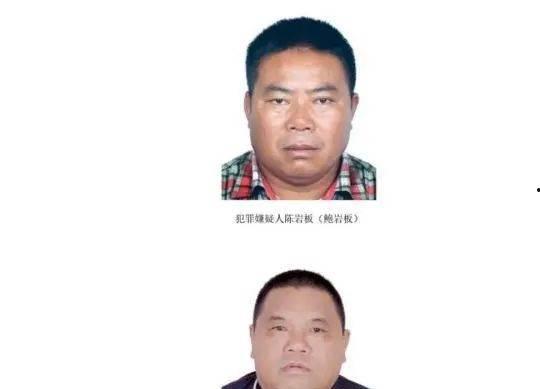 缅北诈骗犯爆料视频最新,最新爆料视频曝光惊人真相
