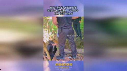 缅北诈骗犯爆料视频最新,最新爆料视频曝光惊人真相