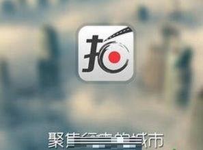 拍客爆料在哪看素材视频,揭秘素材视频获取途径，轻松掌握视频素材资源