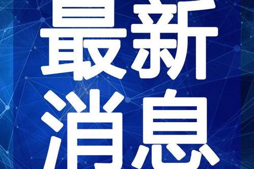 平舆融媒最新爆料视频,最新爆料视频深度解析