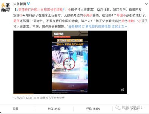 越南招商爆料事件视频播放,揭秘项目真相与争议