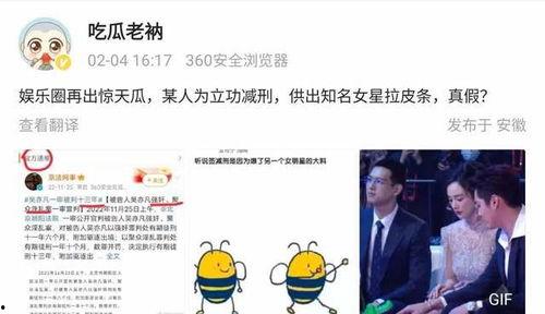 娱乐吃瓜最新爆料,最新吃瓜爆料，明星幕后真相大曝光！