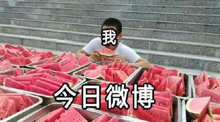 吃瓜事件在线免费观看,揭秘幕后真相