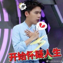 李易峰媒体爆料视频大全,揭秘明星幕后故事