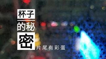 夜间酒店爆料视频,揭秘幕后爆料视频背后的真相