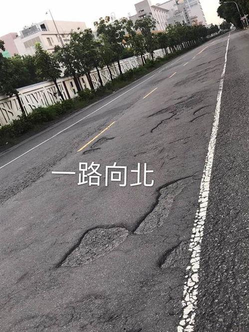 爆料公社图片大全集最新,视觉盛宴，揭秘生活百态