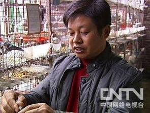 王小飞最新爆料视频,惊人内幕曝光！