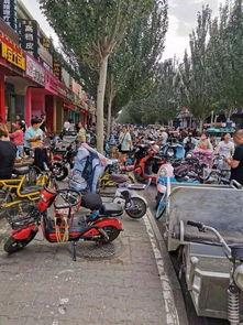 杞县西陵车祸最新爆料,悲剧现场细节披露，事故原因调查深入