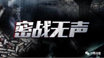密战无声电视剧在线观看,揭秘隐秘战线，线上重现谍战风云