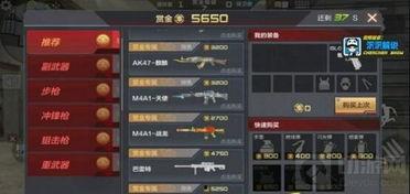 cf手游最新赏金爆料,全新模式与神秘英雄即将登场！