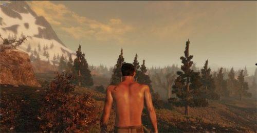 荒野生存在线观看,在线见证生存极限挑战