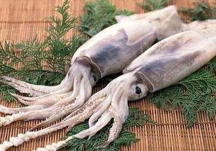 鱿鱼最新爆料视频,揭秘幕后真相，最新爆料视频曝光惊人内幕