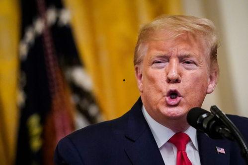 特朗普爆料福克斯视频完整版,揭秘幕后的真相与争议