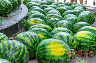 网红椅子吃瓜学校,揭秘校园生活新现象