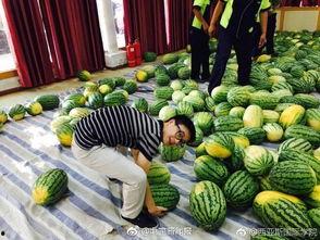 网红椅子吃瓜学校,揭秘校园生活新现象