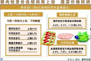今日菜价爆料新闻,菜价爆料新闻背后的真相