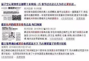 今日菜价爆料新闻,菜价爆料新闻背后的真相
