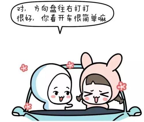 学车教练爆料视频大全最新,最新视频大全内幕大曝光！