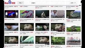 视频发布以后多久能爆料,发布后24小时内