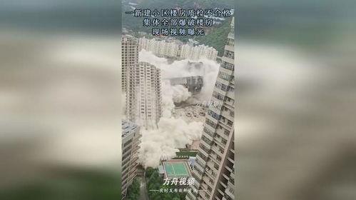 房子爆料视频大全最新,房子爆料视频大全深度解析