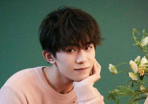 王源黑粉最新爆料事件视频,真相与谣言的较量