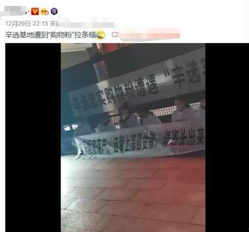 网友爆料辛巴家产品视频,网友热议品质与效果