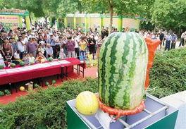 大明吃瓜王全集免费观看,宫廷风云，笑料百出，全集免费畅享