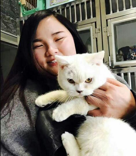 邹佳爆料猫老板视频大全,揭秘背后惊人内幕