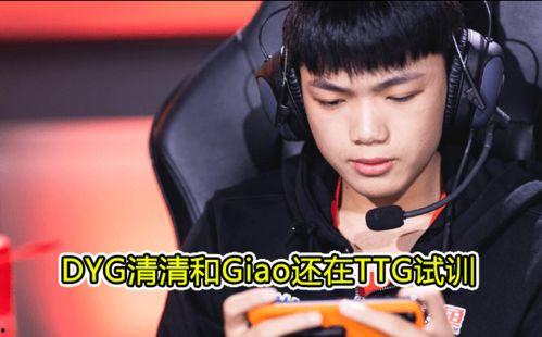 qg试训最新爆料,揭秘最新爆料背后的精彩故事”