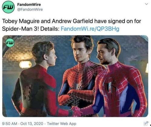 蜘蛛侠爆料三代视频大全,揭秘漫威宇宙中的传奇英雄传承