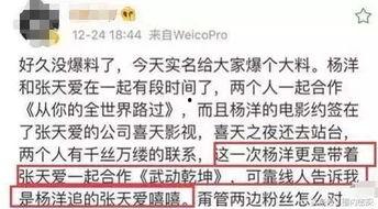 卓伟最新爆料杨洋,卓伟最新爆料揭秘真相