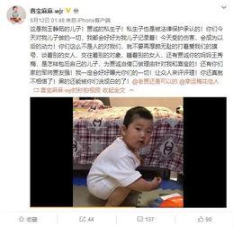 宋洁出狱爆料视频在线观看,揭秘狱中生活与爆料内幕