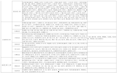 天坑小队爆料视频大全最新,揭秘幕后真相与精彩瞬间