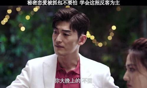 秘密恋情在线观看,网恋背后的情感纠葛