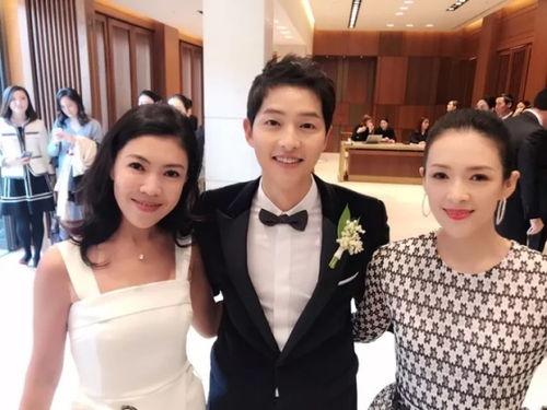 双宋结婚爆料视频大全,甜蜜瞬间大盘点