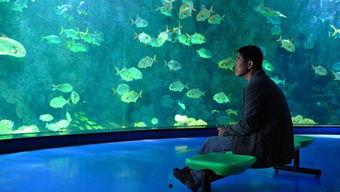 海洋天堂在线观看,探寻深海奥秘的奇幻之旅