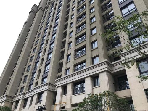 都市花园爆料最新消息新闻,揭秘神秘事件背后的真相