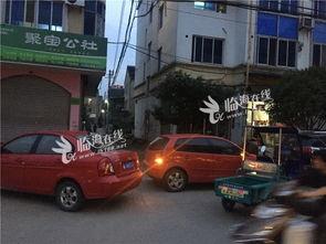 临海爆料事件最新,真相与争议交织的舆论漩涡