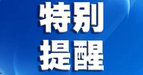 深圳新闻爆料人是谁啊视频,视频背后的神秘身影