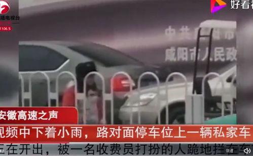 沈阳网约车刘师傅爆料视频,揭秘网约车行业内幕