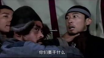 代号黑狼电视剧全集在线观看,揭秘神秘特工的惊险历程