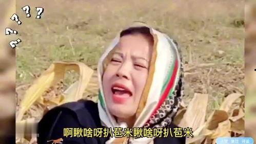 搞笑爆料村长视频大全,笑料横生！村长搞笑爆料视频大盘点