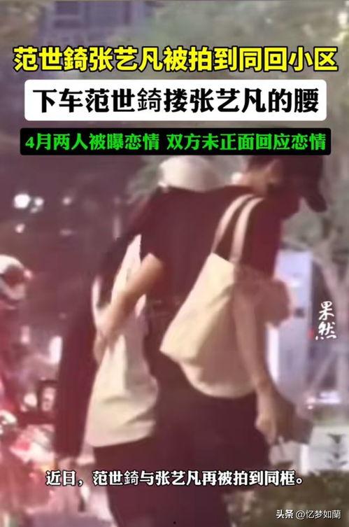 张大锤最新爆料视频大全,揭秘娱乐圈幕后真相