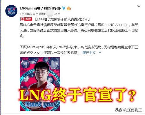 依哥最新爆料,揭秘娱乐圈惊人内幕