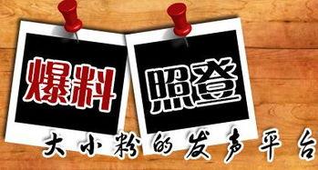 新闻爆料重庆,揭秘山城最新热点事件背后的故事