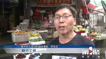 新闻爆料重庆,揭秘山城最新热点事件背后的故事