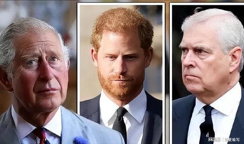 查尔斯最新爆料消息视频,揭秘不为人知的幕后真相