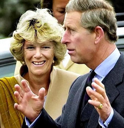 查尔斯最新爆料消息视频,揭秘不为人知的幕后真相